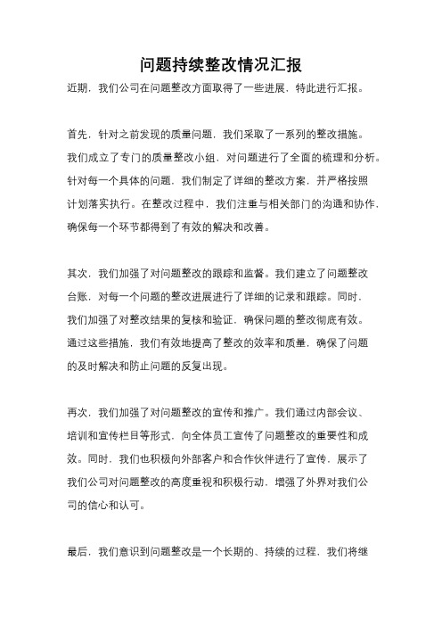 问题持续整改情况汇报