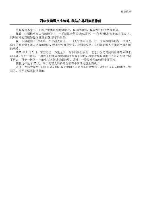 四年级读课文小练笔 我站在林则徐塑像前