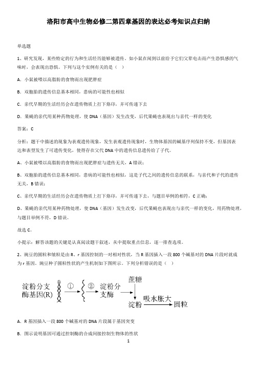 洛阳市高中生物必修二第四章基因的表达必考知识点归纳