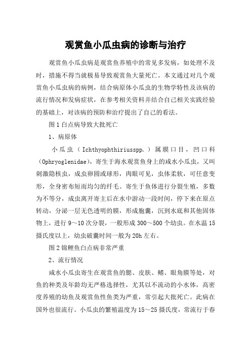 观赏鱼小瓜虫病的诊断与治疗