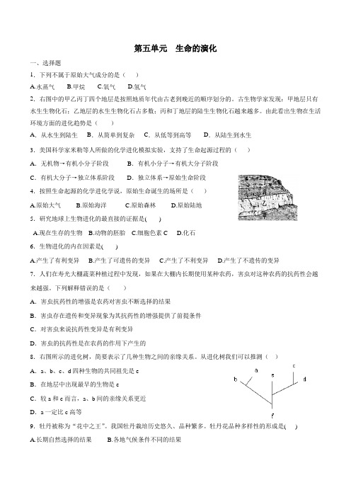 山东省邹城市第八中学济南版八年级生物下册第五单元生命的演化单元测试(附答案)$822114