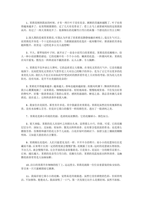 赞美茉莉花的句子