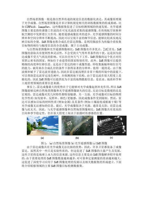 SAR图像