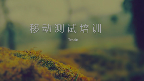 互联网企业总体测试业务培训ppt