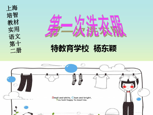 演示文稿洗衣服ppt课件