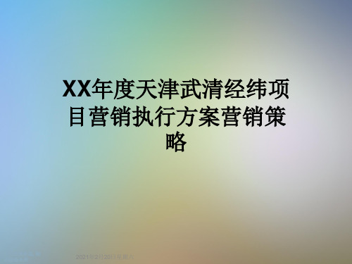 XX年度天津武清经纬项目营销执行方案营销策略