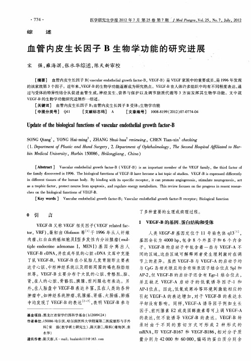 血管内皮生长因子B生物学功能的研究进展