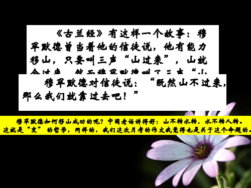 《乌鸦东飞》写作指导