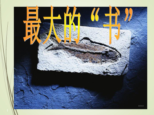 人教版二年级语文下册精品课件19、最大的“书”