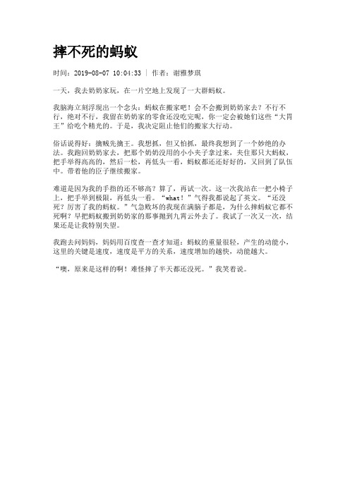 摔不死的蚂蚁