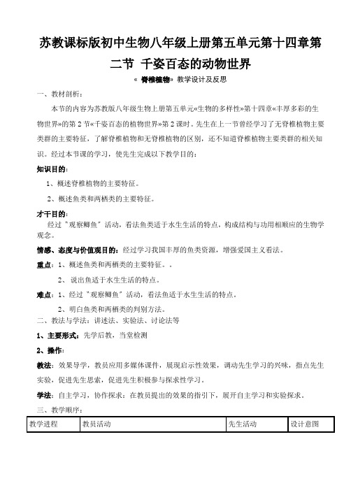苏教课标版初中生物八年级上册第五单元第十四章第二节 千姿百态的动物世界