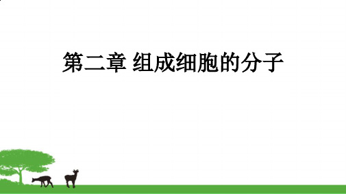高中生物-《细胞中的无机物》课件