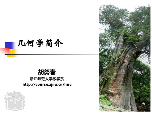 几何学简介geometry概要