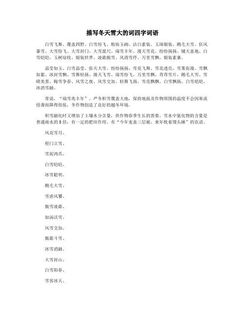 描写冬天雪大的词四字词语