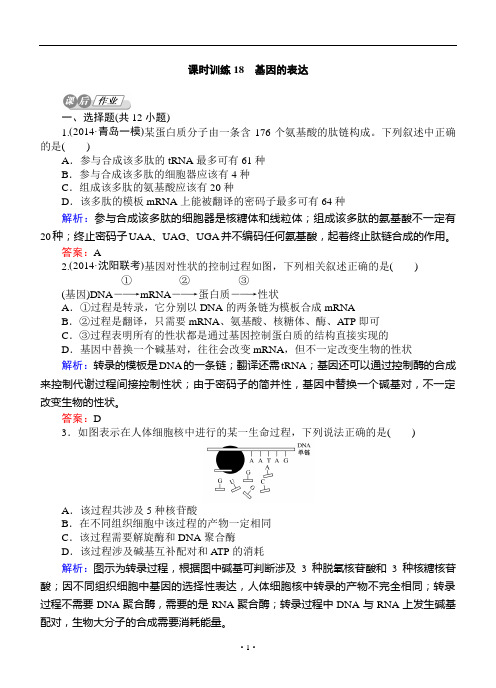 高考生物一轮复习课后练习：18基因的表达