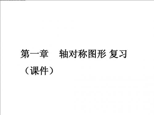 八上 第一章 轴对称图形 复习课