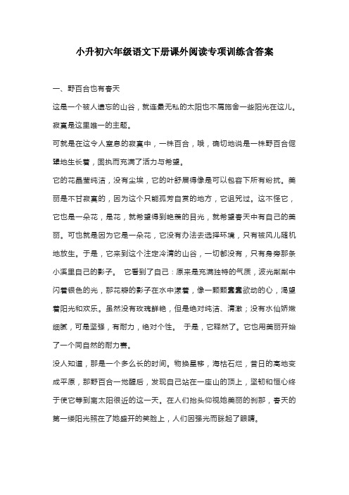 通用小升初六年级语文下册课外阅读专项训练含答案
