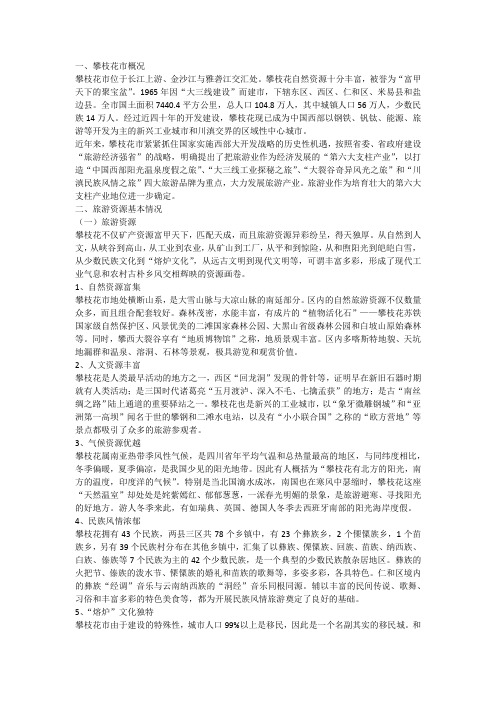 关于攀枝花市生态旅游发展调研的报告