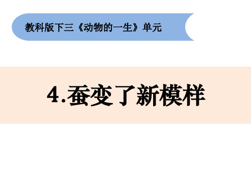 最新教科版三年级下册科学2-4《蚕变了新模样》精品教学课件