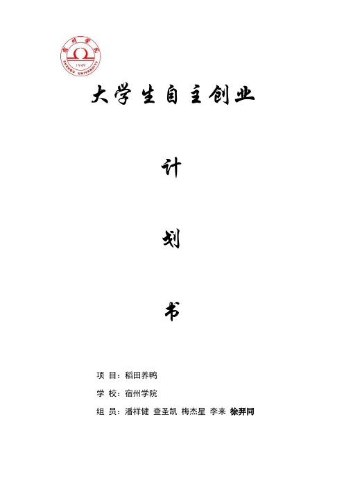 稻田养鸭创业计划书