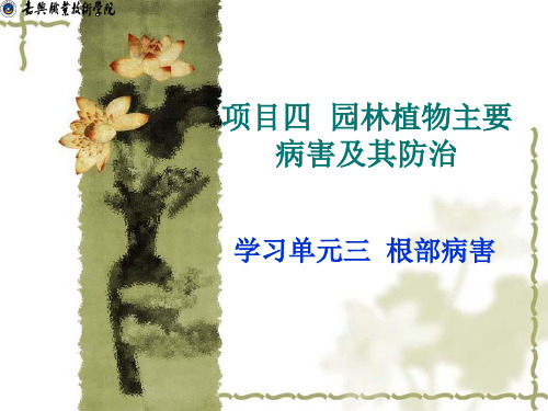 项目四 园林植物主要病害及其防治 学习单元三  根部病害