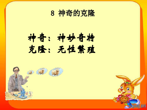 苏教版五年级下册《神奇的克隆》1【wwwedudownnet】PPT课件