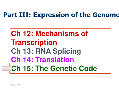 分子生物学第八章-遗传密码 -genetic code