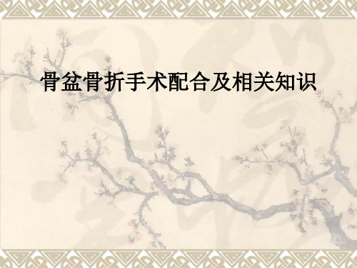 骨盆骨折手术配合及相关知识ppt课件
