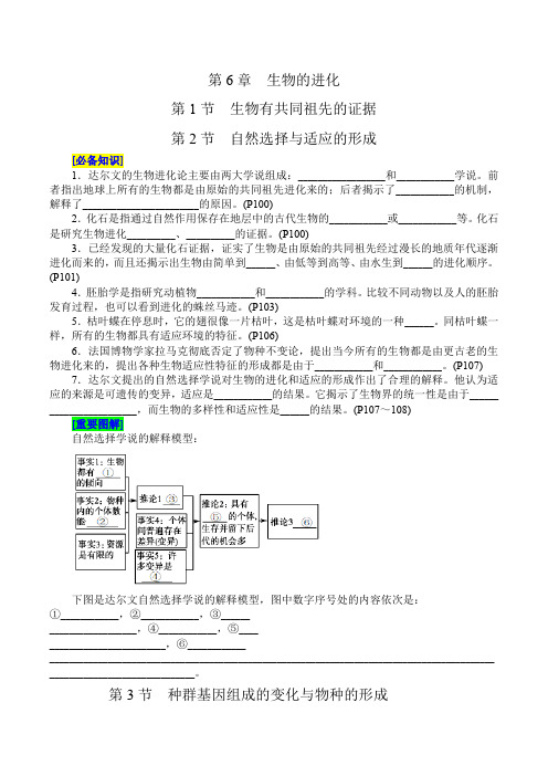 第6章 生物的进化(填空版)