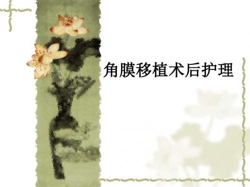 角膜移植术后护理ppt课件