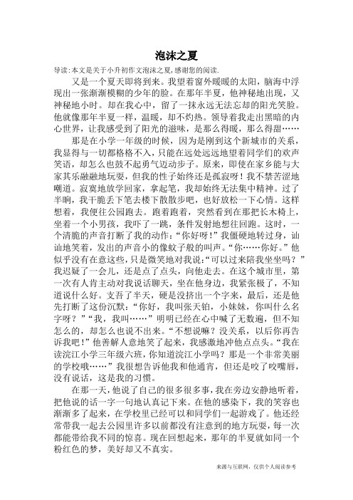 泡沫之夏_小升初作文