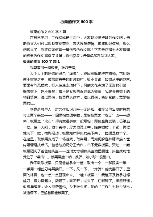 板栗的作文600字