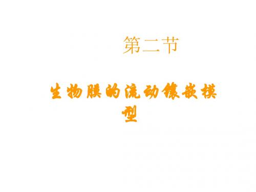 高一生物生物膜的流动镶嵌模型3
