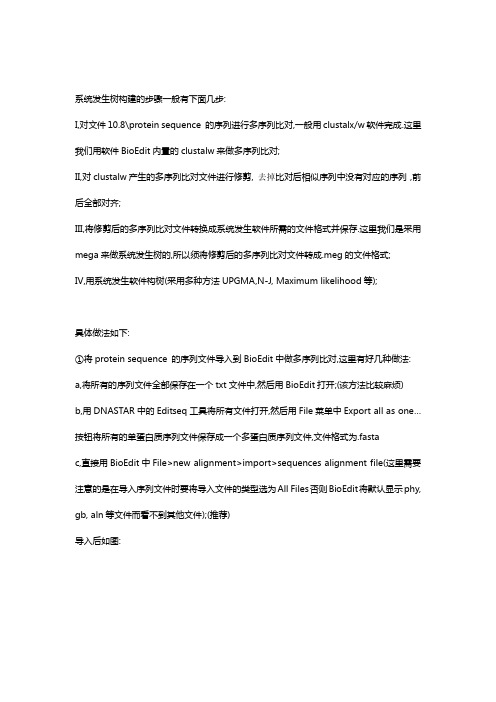 系统发生树详解