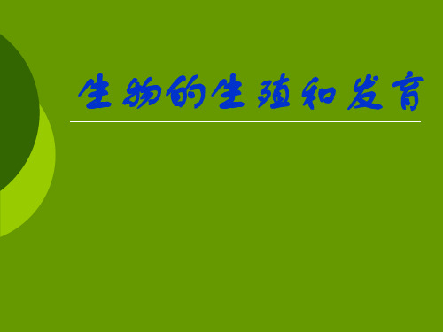人的生殖和胚胎发育PPT课件