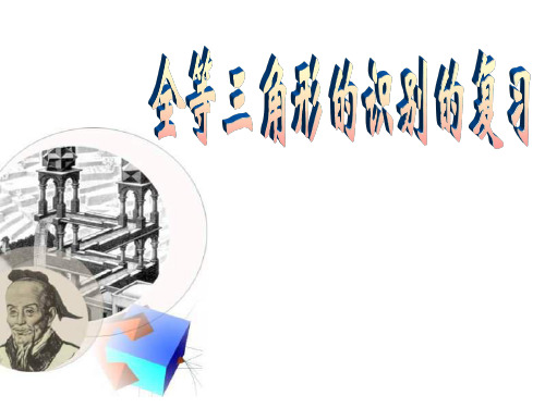 全等三角形识别的复习[上学期]--华师大版