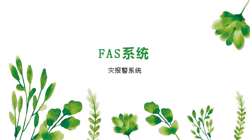 FAS系统 