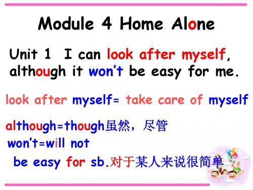 外研版九年级上册 Module 4 Home Alone Unit 1(共29张PPT)