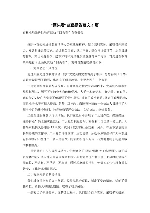 “回头看”自查报告范文4篇