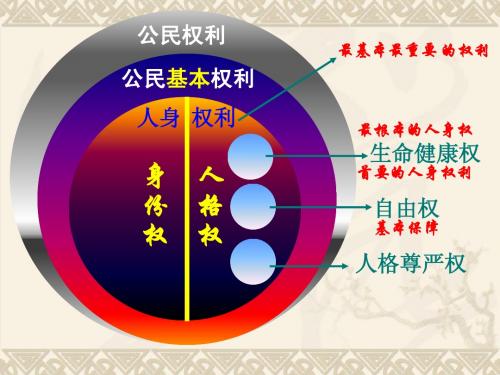 (2015)同样的权利同样的爱护