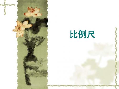 北师大版六年级数学下册课件-比例尺PPT