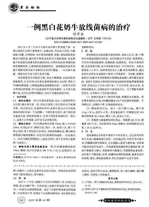 一例黑白花奶牛放线菌病的治疗