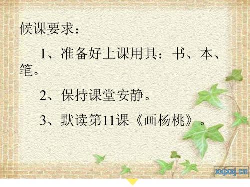 11画杨桃课件ppt
