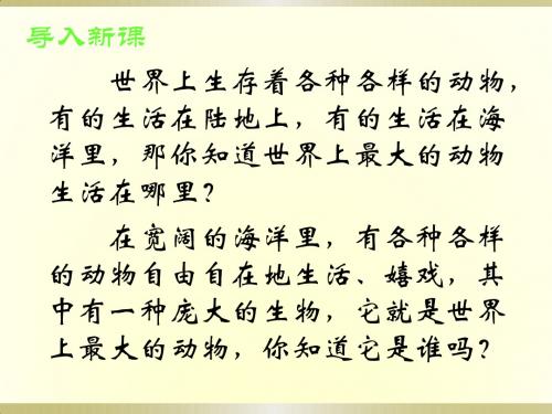 9.《鲸》ppt