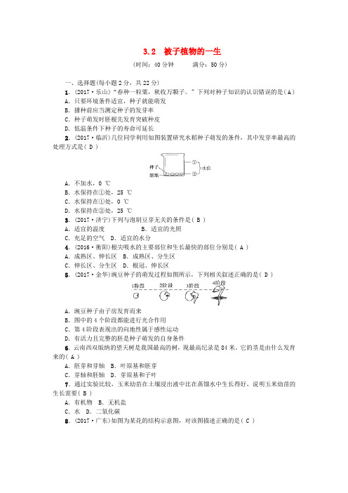 七年级生物上册 3.2被子植物的一生同步练习 (新版)新人教版