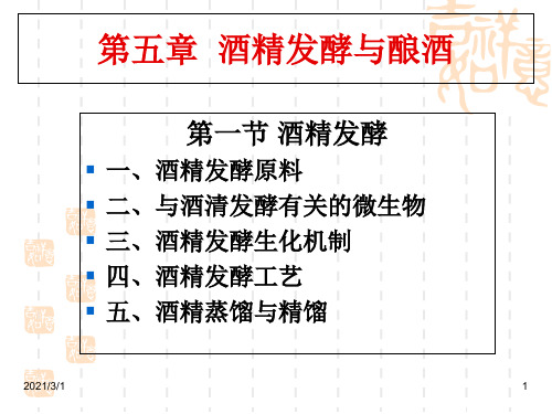 酒精发酵与酿酒概述PPT精品课件