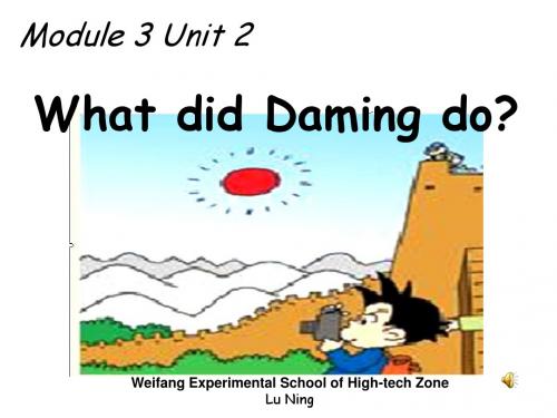 (新标准)(三年级起点)小学五上 Module 3 At the Weekend Unit2 What did Daming do ppt课件 - 副本