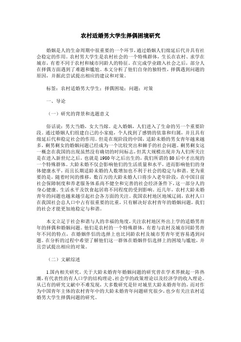 农村适婚男大学生择偶困境研究