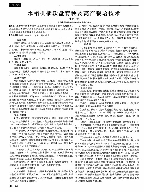 水稻机插软盘育秧及高产栽培技术