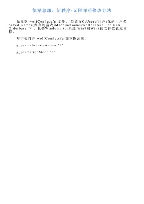 德军总部：新秩序无限弹药修改方法